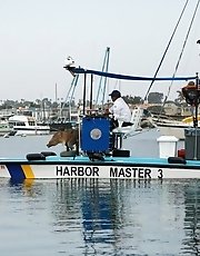 8 pictures - Jeni Kessler Harbor Masters